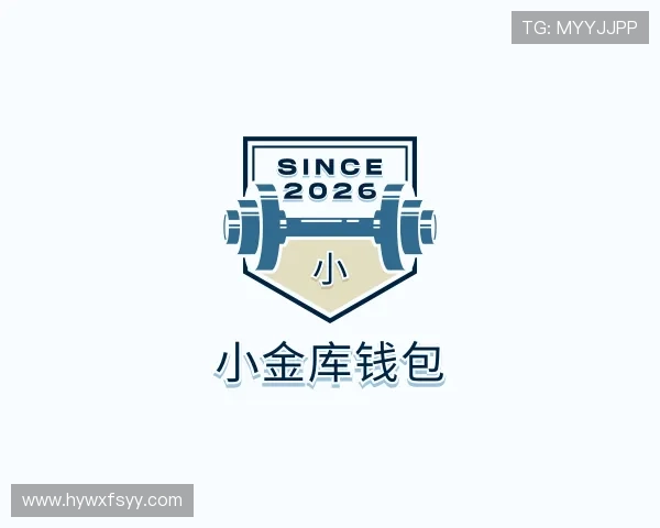 介绍小金库钱包官网